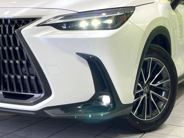 Lexus NX 12