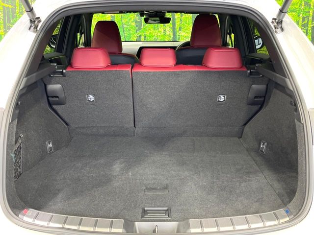 Lexus NX 10