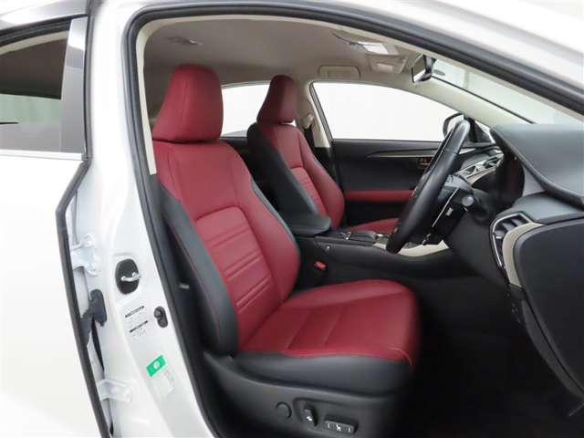 Lexus NX 12