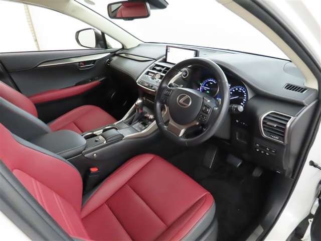 Lexus NX 10