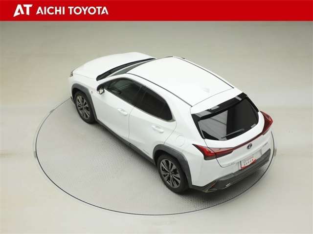 Lexus UX 12