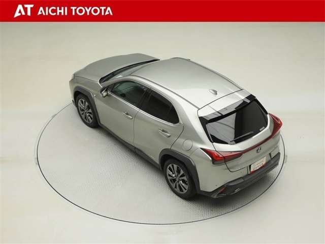 Lexus UX 12