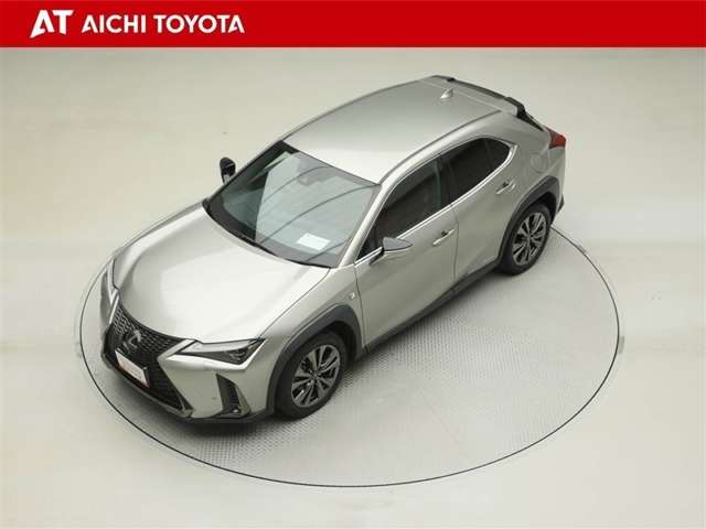 Lexus UX 10