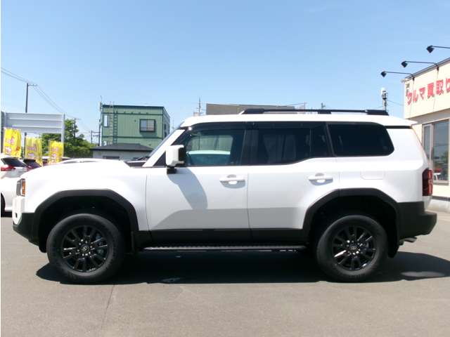 Toyota Land Cruiser 250 6