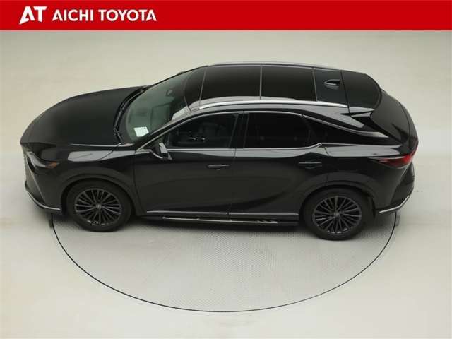 Lexus RX 11