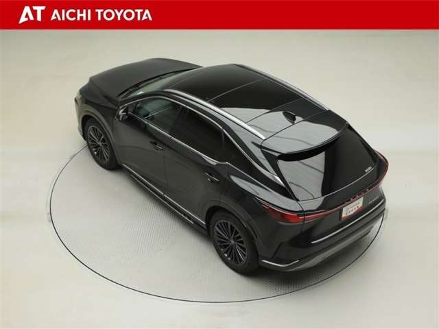 Lexus RX 12