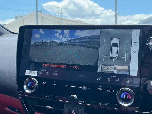 Lexus NX 6