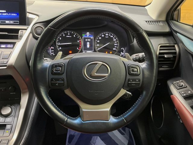 Lexus NX 12