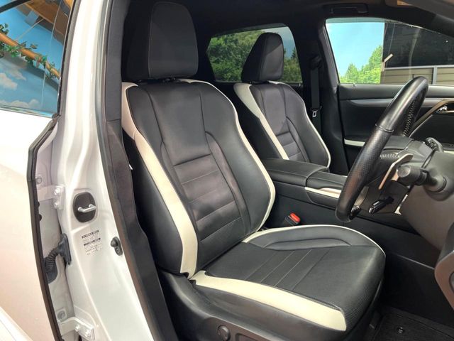 Lexus RX 11