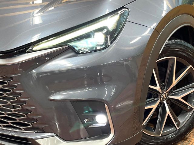 Lexus LBX 12