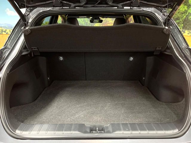 Lexus LBX 10