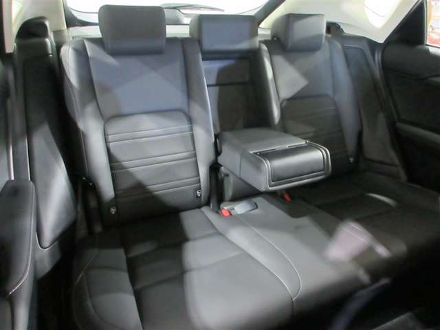 Lexus NX 6