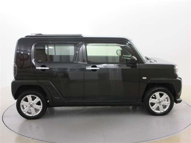 Daihatsu Taft 6