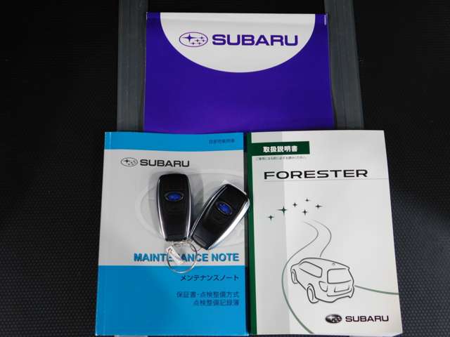 Subaru Forester 10