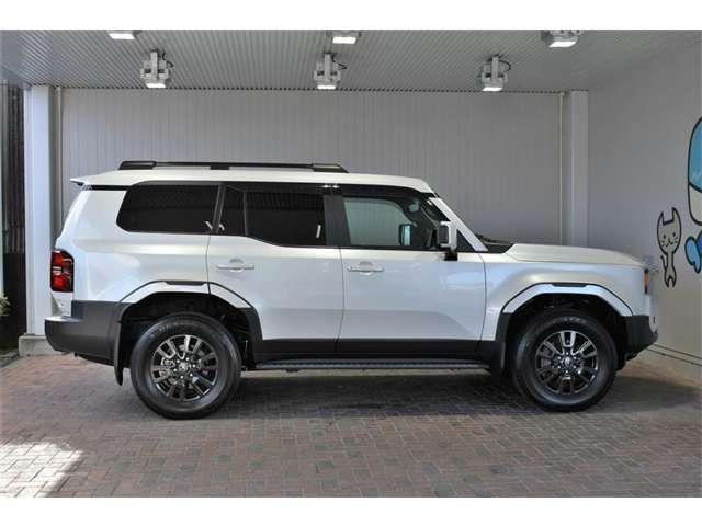 Toyota Land Cruiser 250 3
