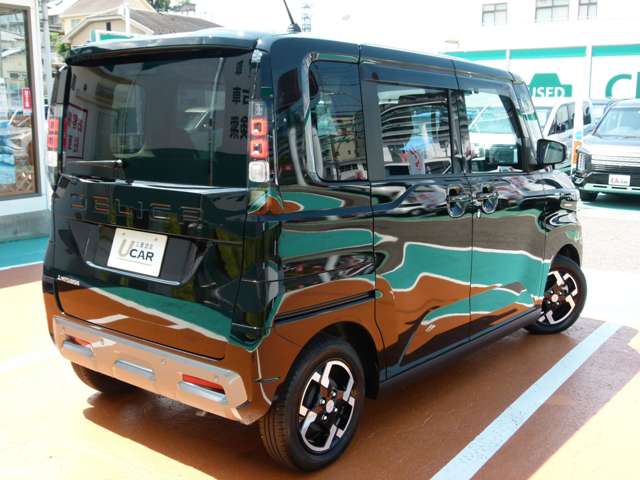 Mitsubishi Delica Mini 7