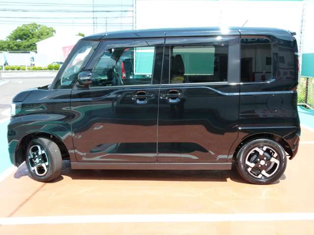 Mitsubishi Delica Mini 10
