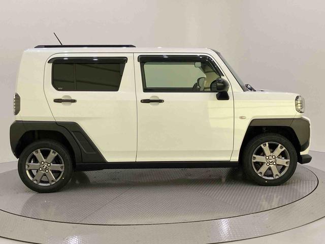Daihatsu Taft 11
