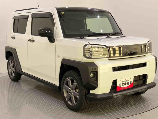 Daihatsu Taft 10