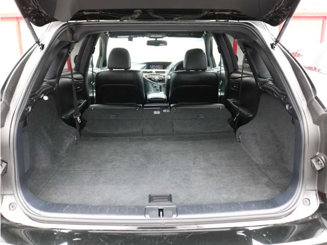 Lexus RX 12
