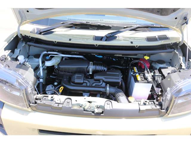 Daihatsu Taft 12