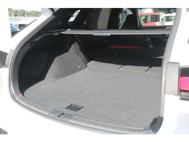 Lexus RX 12