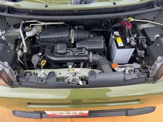 Daihatsu Taft 11