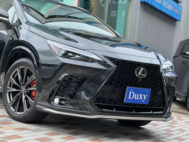 Lexus NX 8