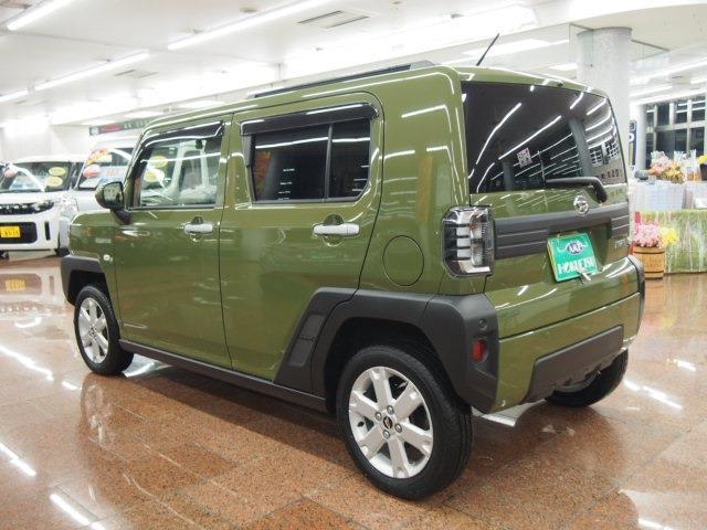 Daihatsu Taft 11