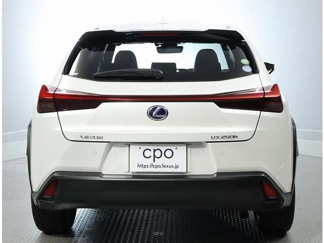 Lexus UX 11