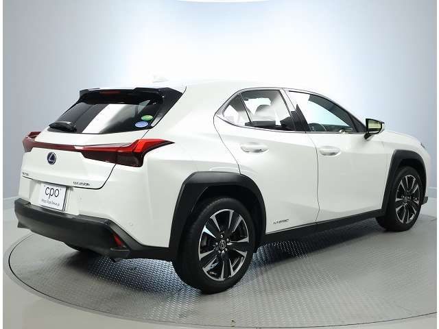 Lexus UX 12