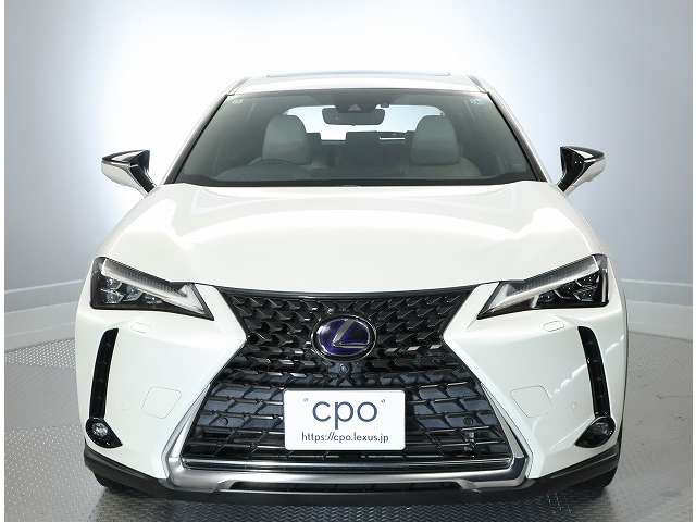 Lexus UX 8