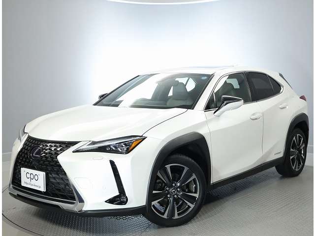 Lexus UX 9