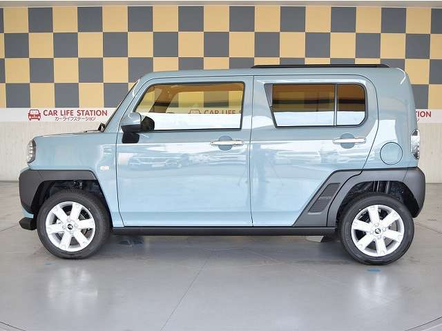 Daihatsu Taft 11