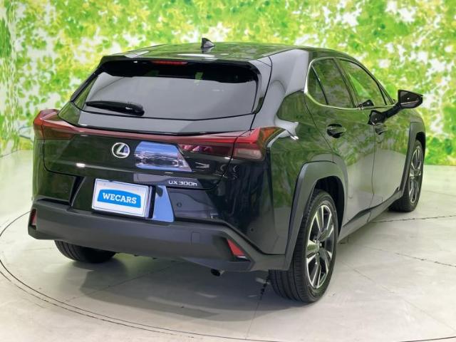 Lexus UX 6