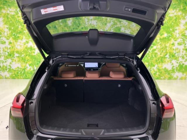 Lexus UX 10