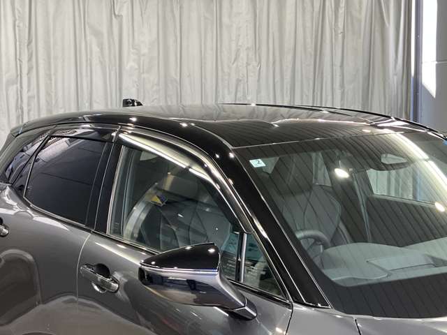 Lexus LBX 11