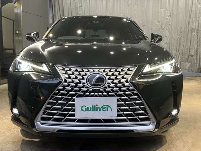 Lexus UX 12