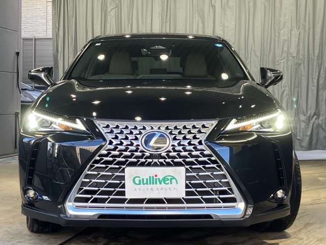 Lexus UX 6