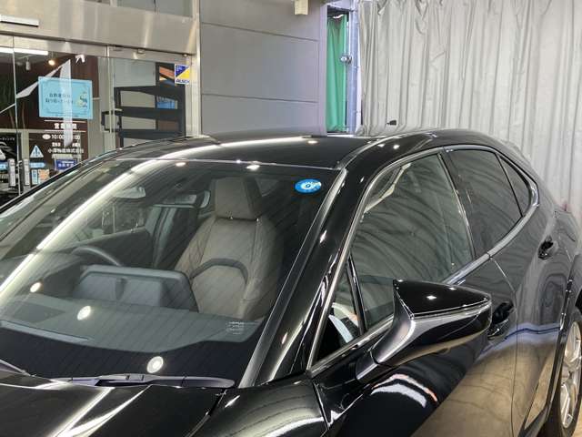 Lexus UX 8