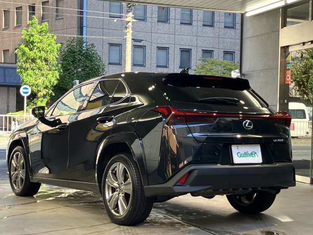 Lexus UX 9
