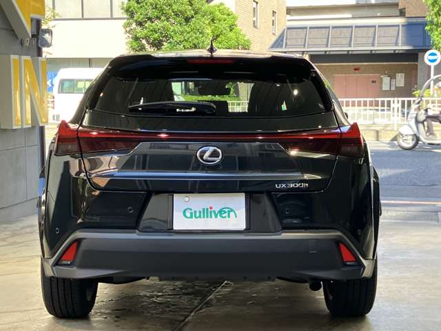 Lexus UX 10