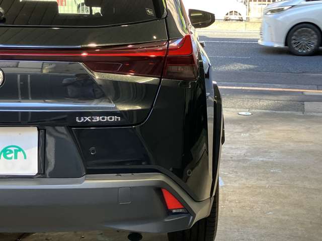 Lexus UX 11