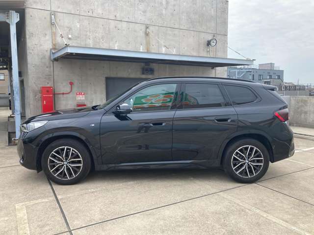 BMW X1 9