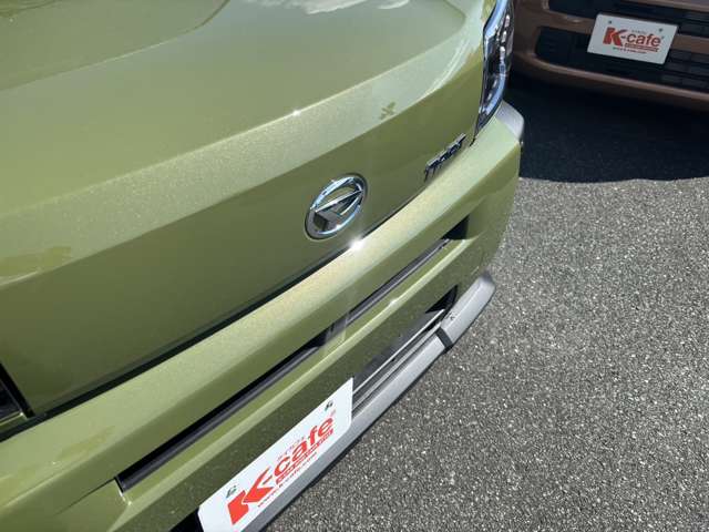 Daihatsu Taft 9