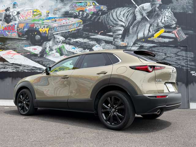 Mazda CX-30 11