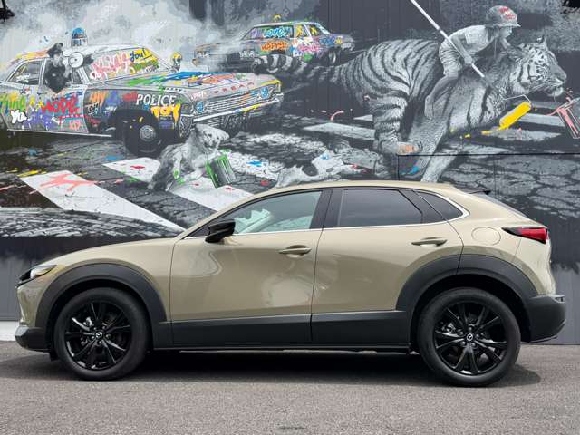 Mazda CX-30 12