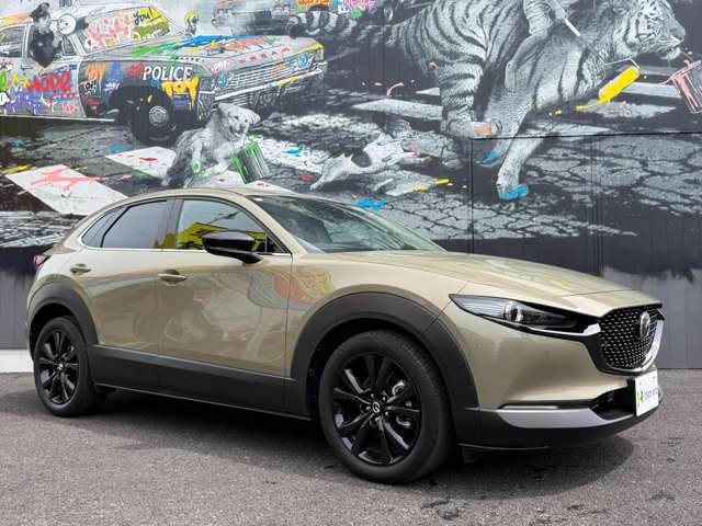 Mazda CX-30 7