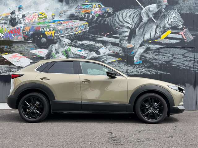 Mazda CX-30 8
