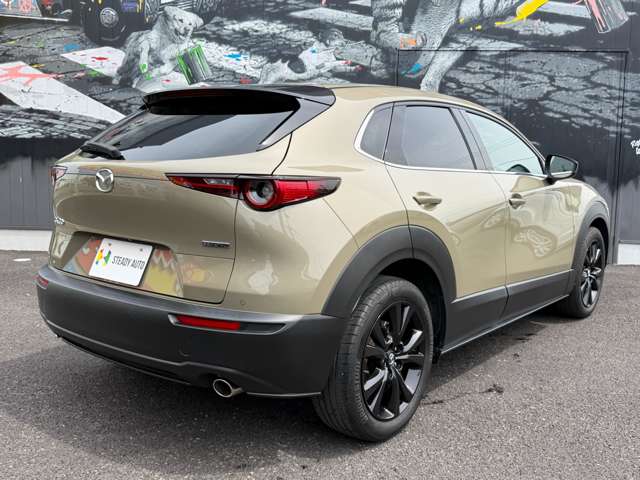 Mazda CX-30 9